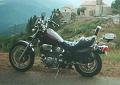 1100 virago